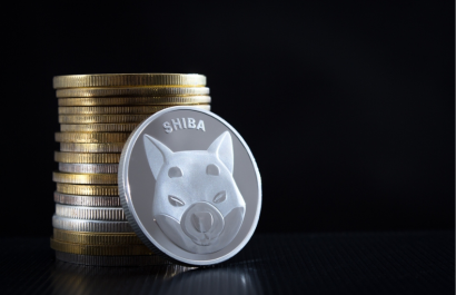 Shiba Inu Trading OnEquity Insights Education
